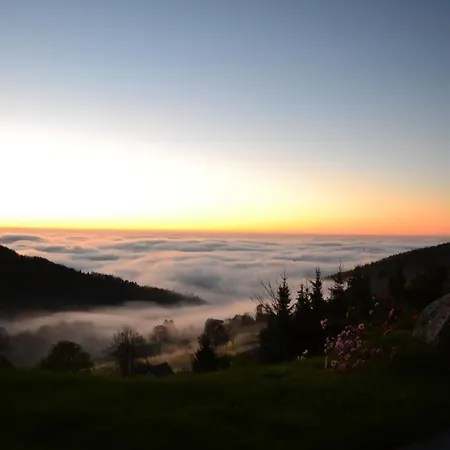 Διαμέρισμα Bergweide 36 *