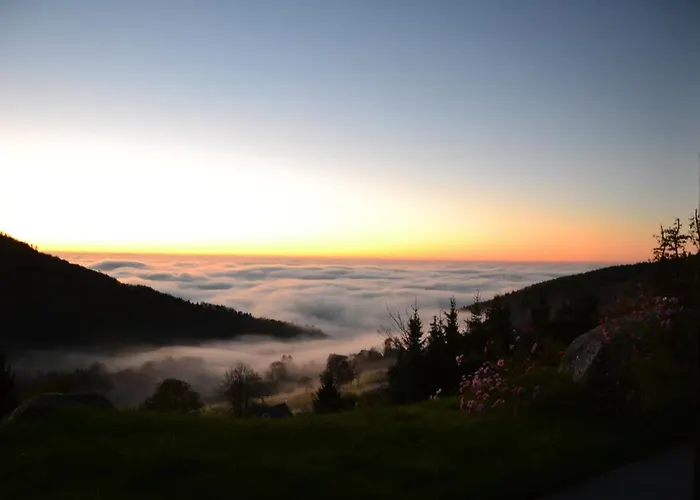 Апартаменты Bergweide 36 *